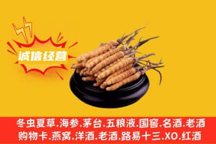 阜阳颍泉区回收冬虫夏草